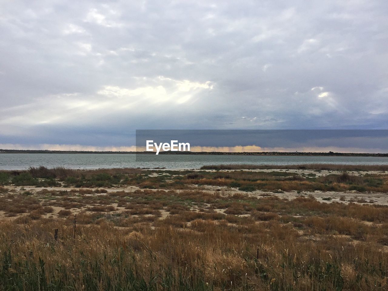 SCENIC VIEW OF SEA ON FIELD AGAINST SKY