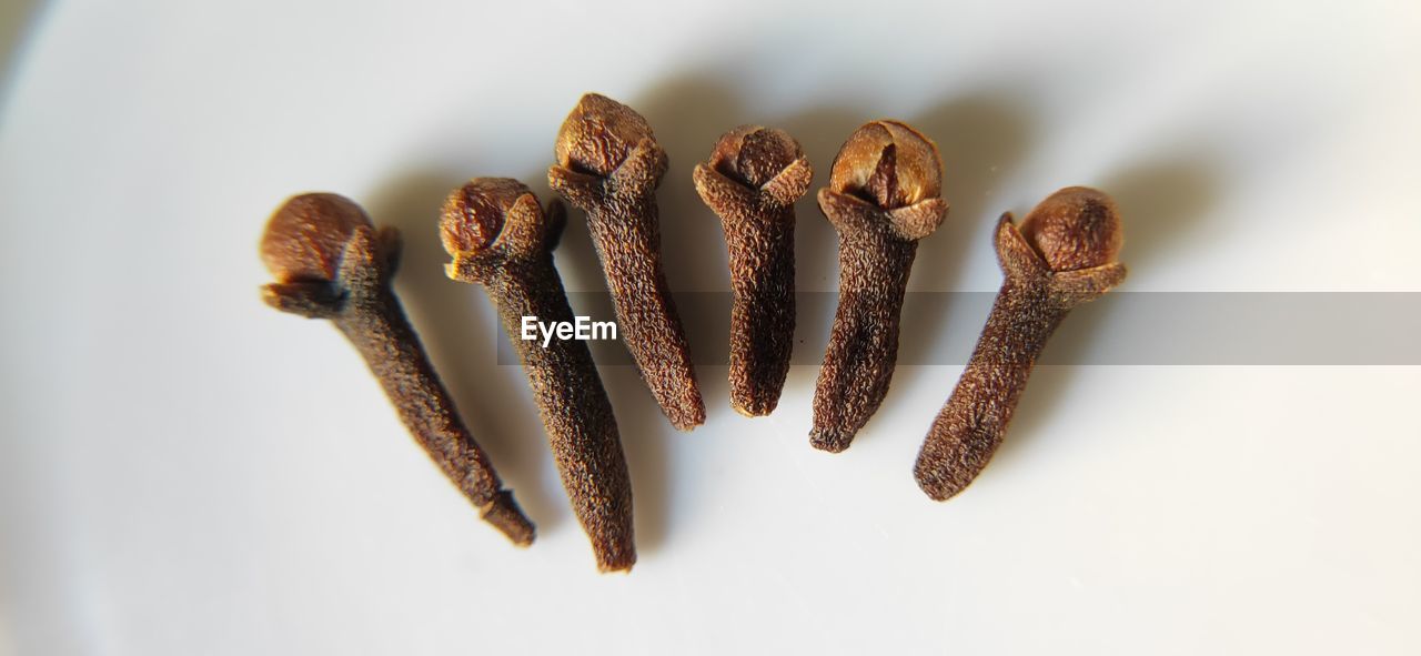 Photo of group of cloves with white background