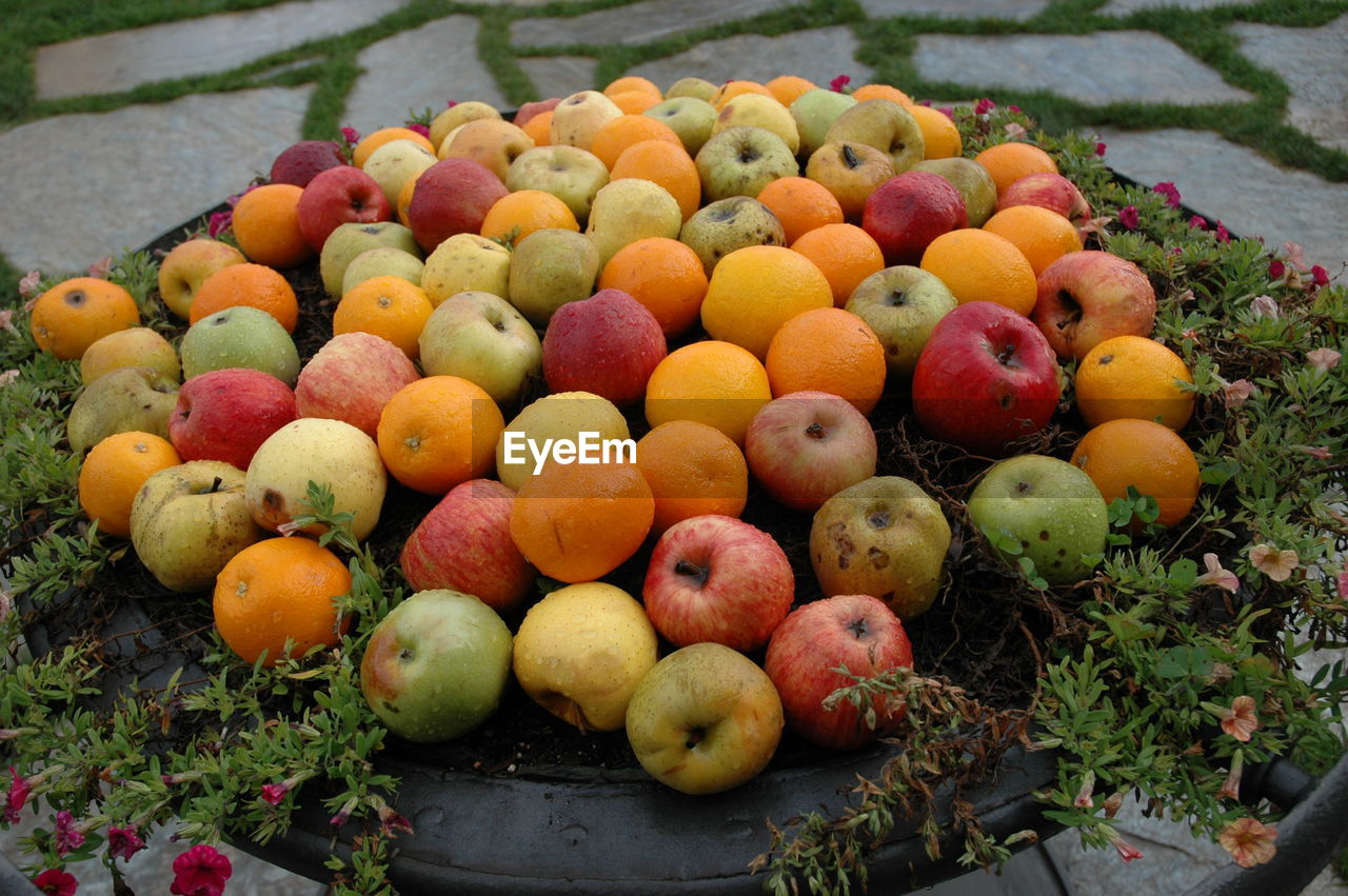 HIGH ANGLE VIEW OF MULTI COLORED FRUITS