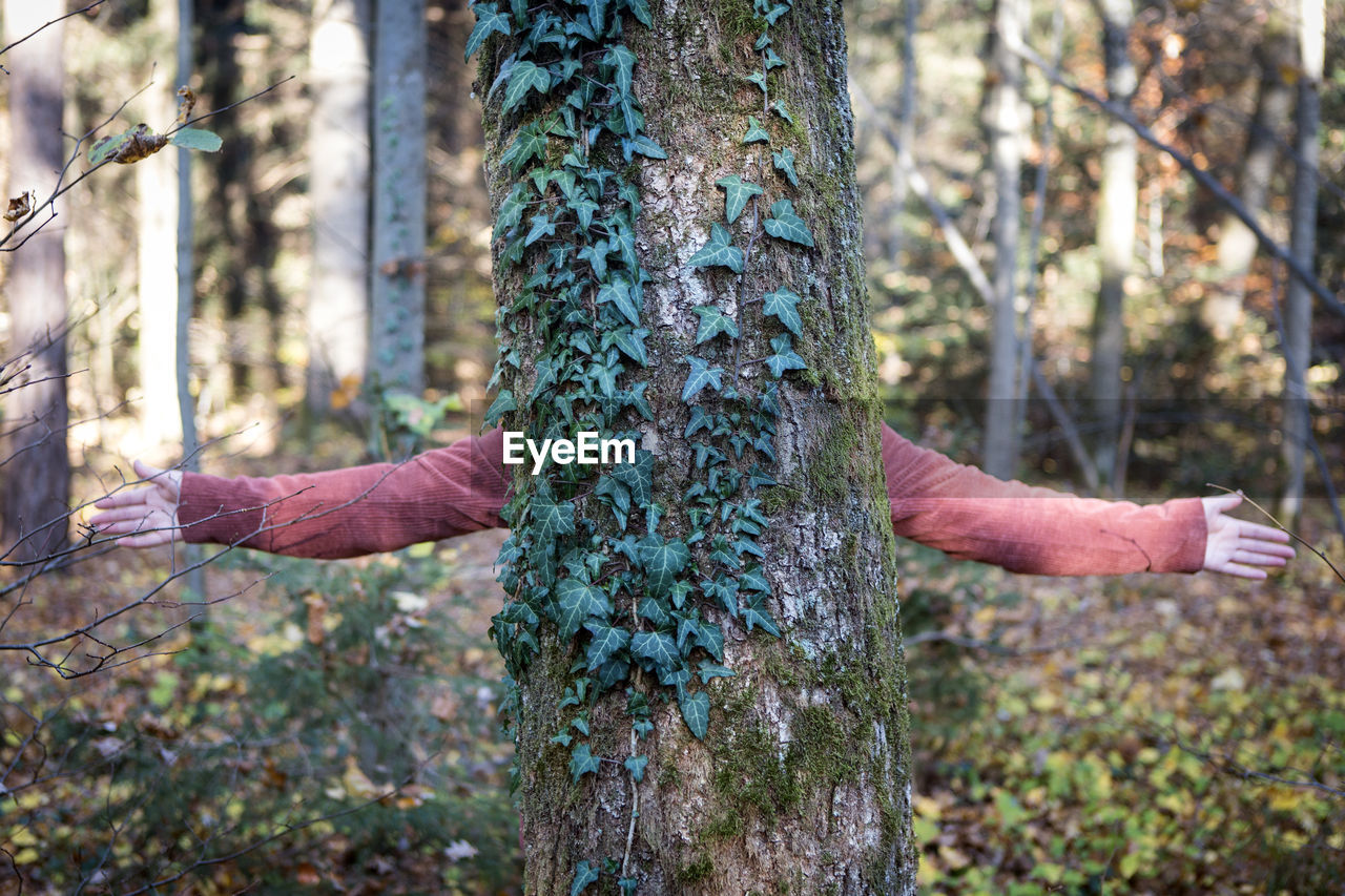 HUMAN HAND ON TREE TRUNK