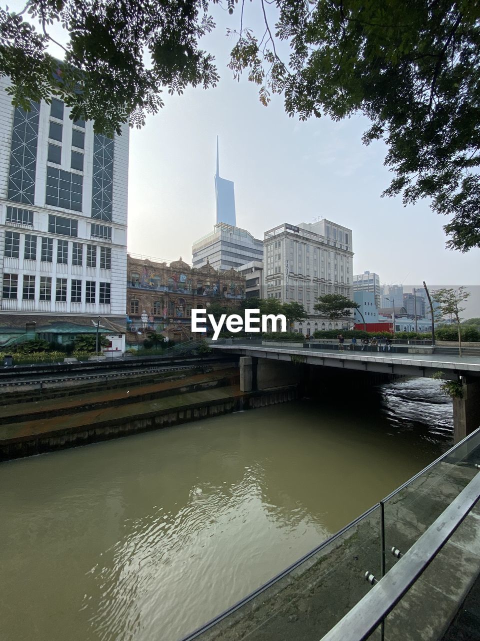 architecture, built structure, building exterior, urban area, city, nature, building, water, tree, plant, skyscraper, sky, day, no people, outdoors, business finance and industry, transport, residential district, reflection, low angle view, window