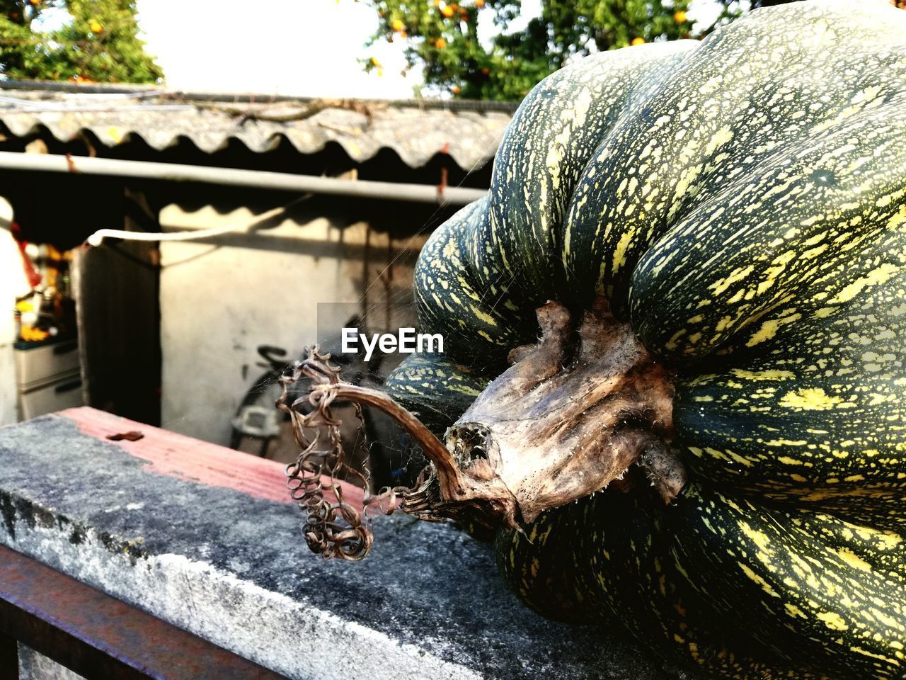 CLOSE-UP OF STATUE ON FOUNTAIN IN PARK