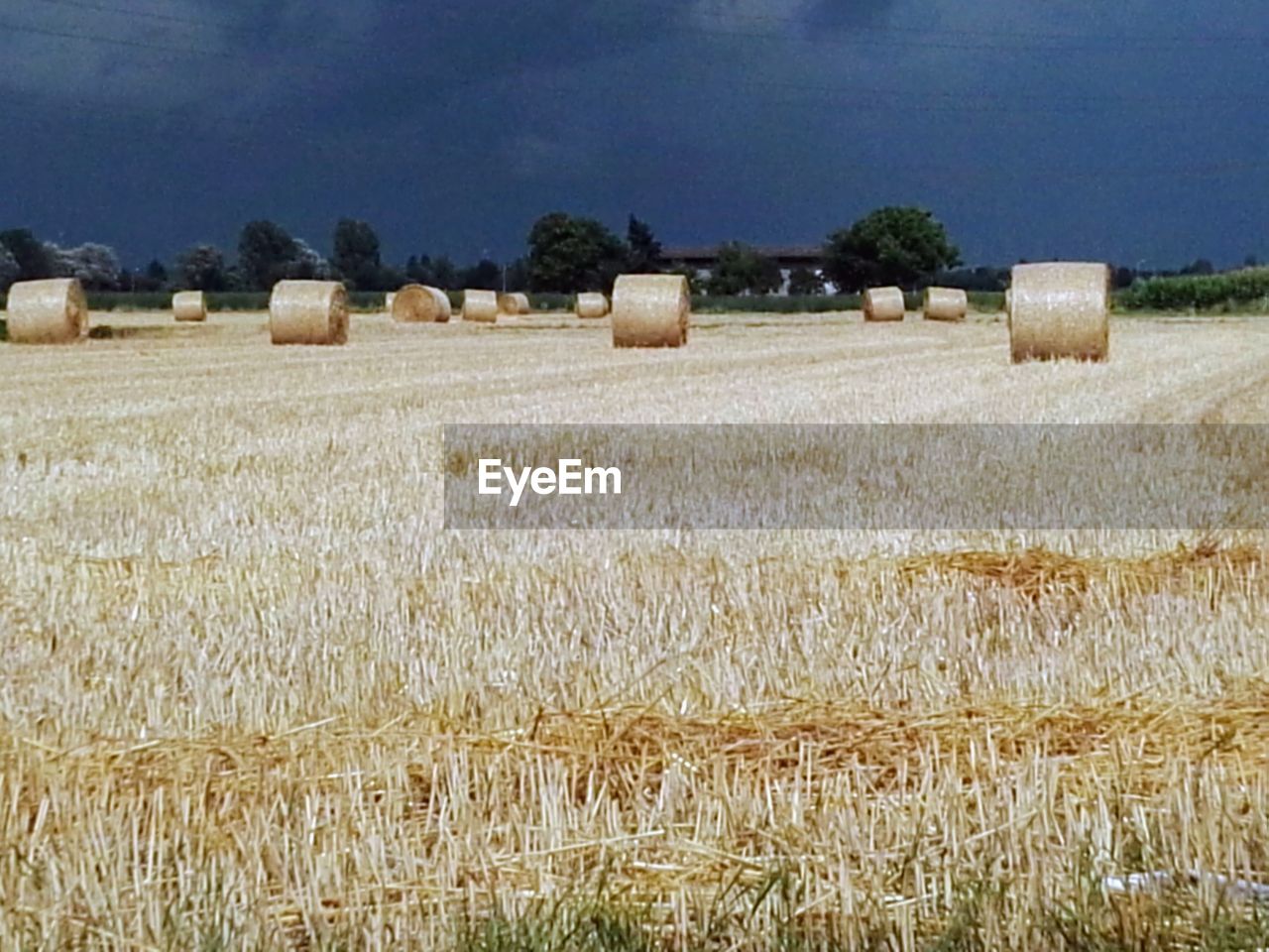 HAY BALES ON FIELD AGAINST SKY