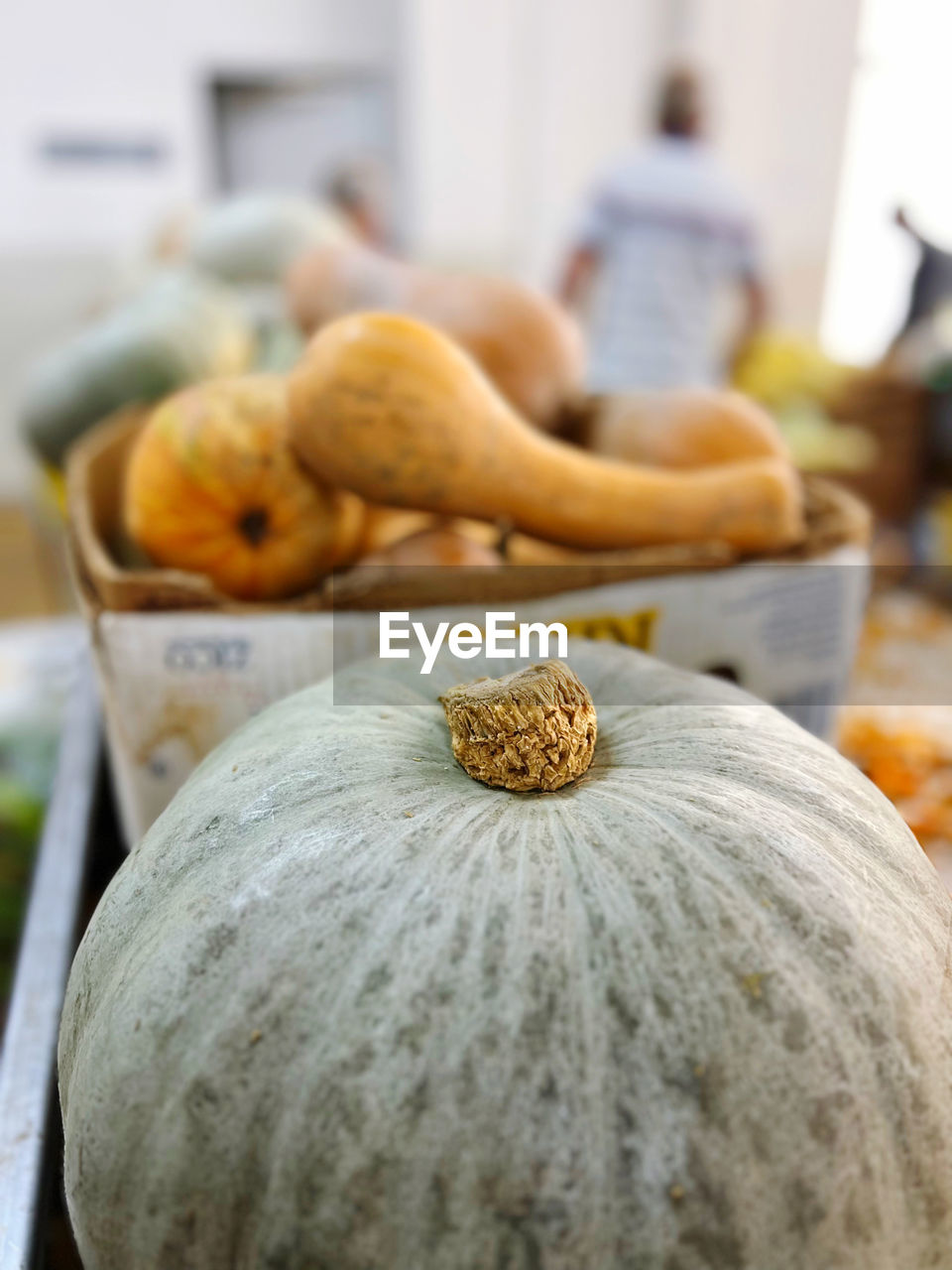 food and drink, food, pumpkin, healthy eating, vegetable, freshness, wellbeing, focus on foreground, squash, winter squash, produce, gourd, no people, indoors, close-up, day, squash - vegetable, autumn, still life, retail, organic, selective focus, plant