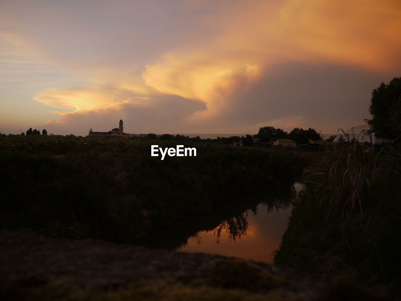 SILHOUETTE TREES BY LAKE AGAINST ORANGE SKY