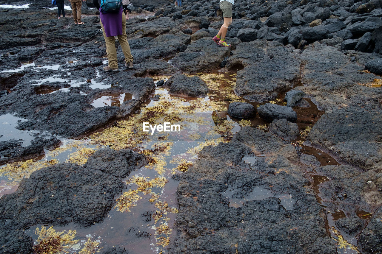 Low section of people standing on rocky seashore