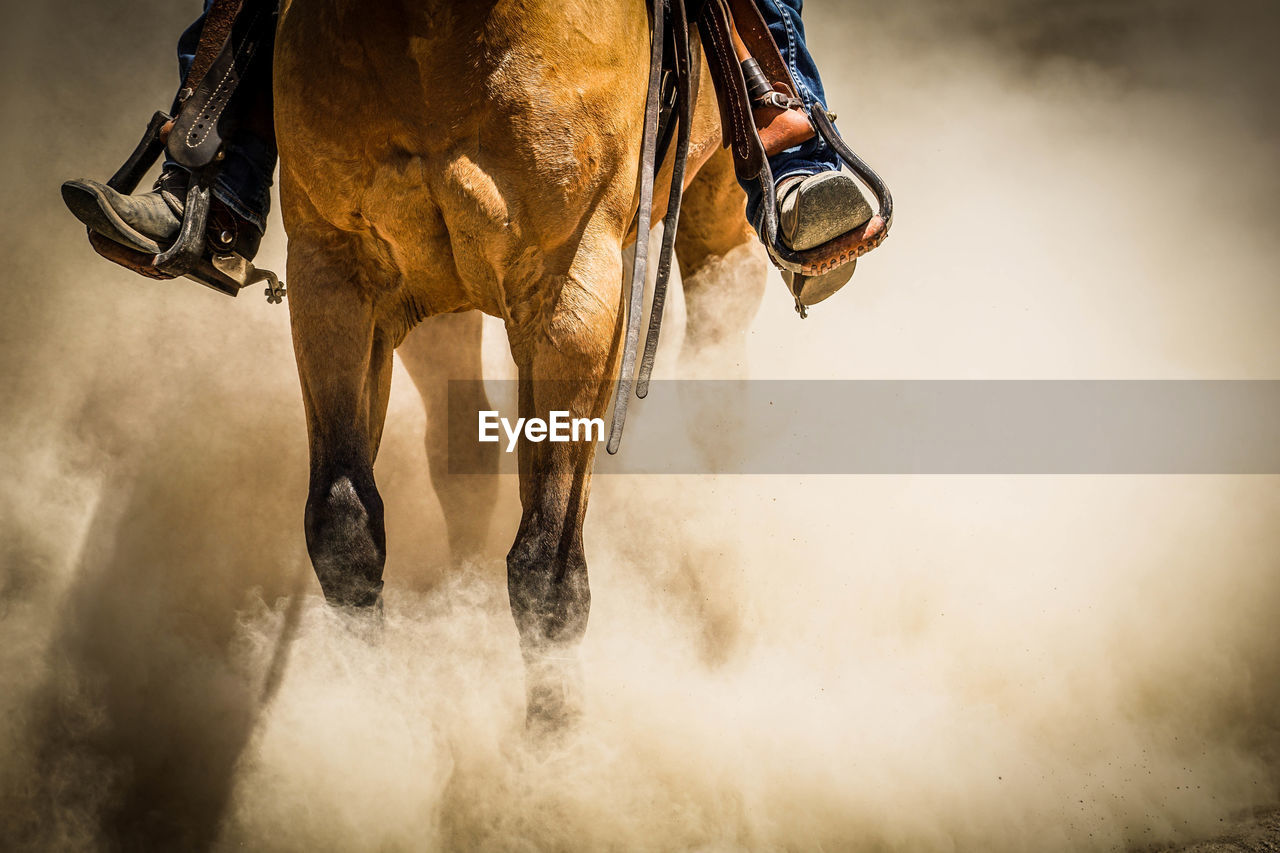 Low section of man horseback riding