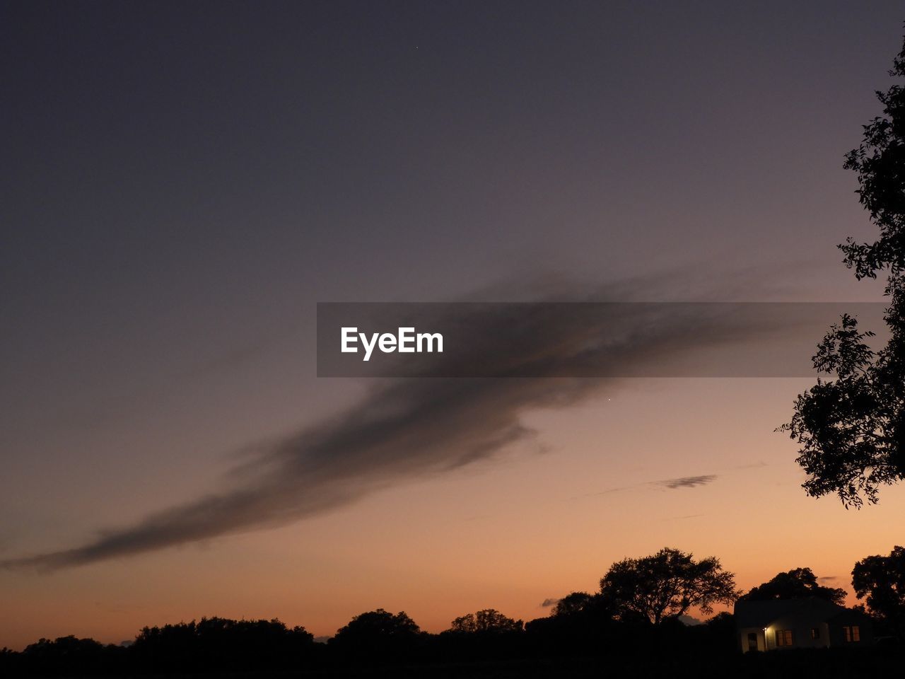 SILHOUETTE TREES AGAINST SKY DURING SUNSET