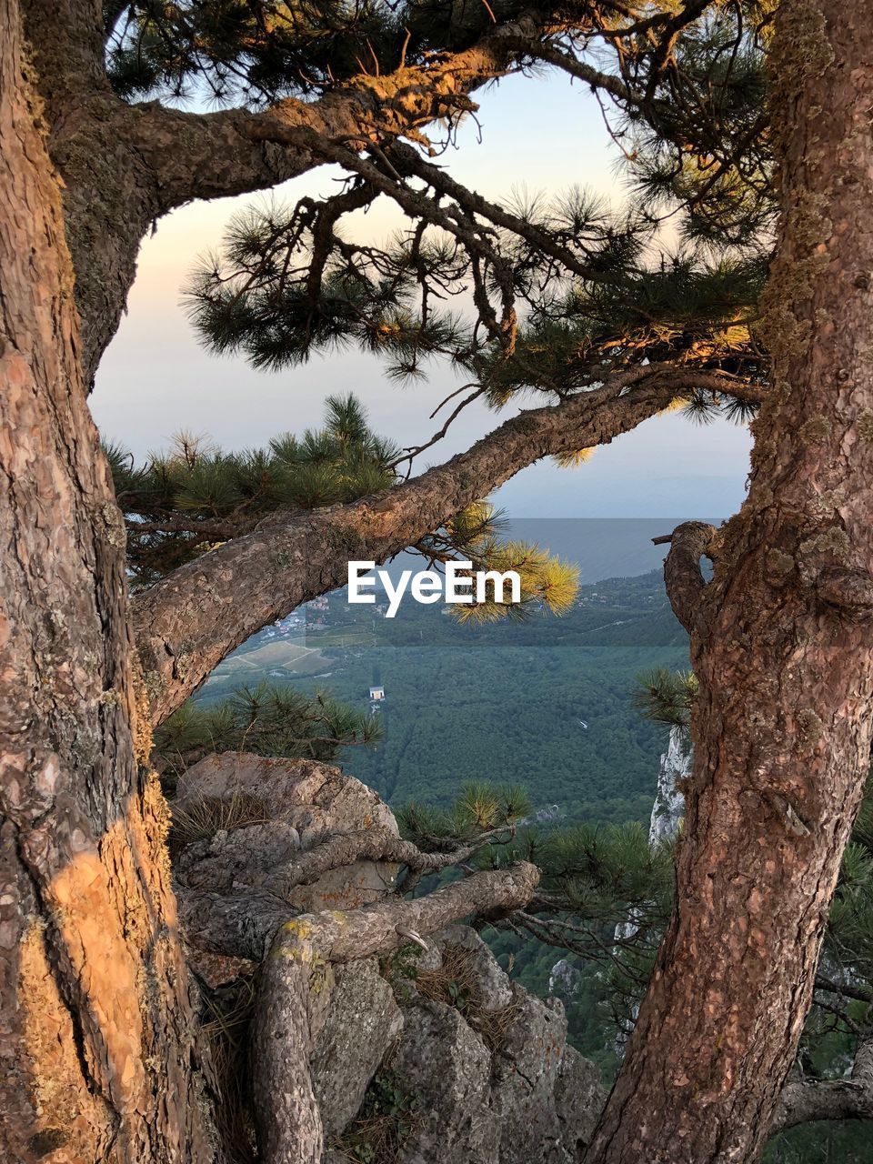 SCENIC VIEW OF LAKE AGAINST TREES