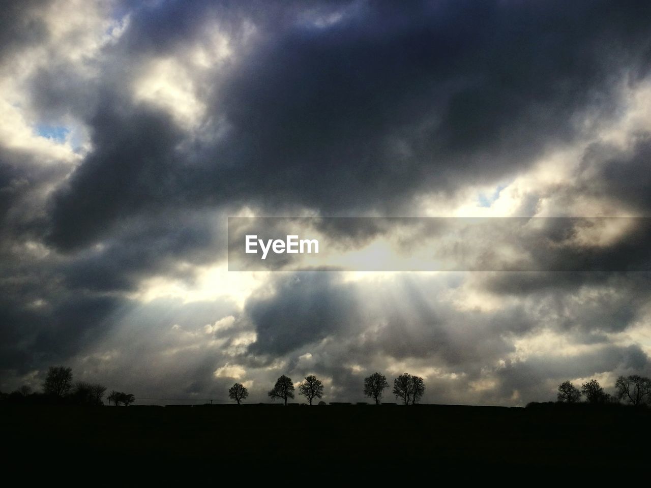 LOW ANGLE VIEW OF STORM CLOUDS OVER SILHOUETTE TREES