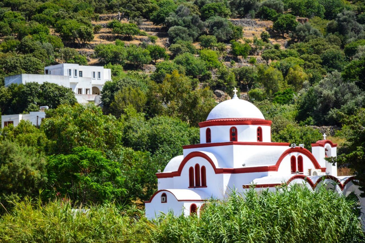 Exterior of church surrounded by tree