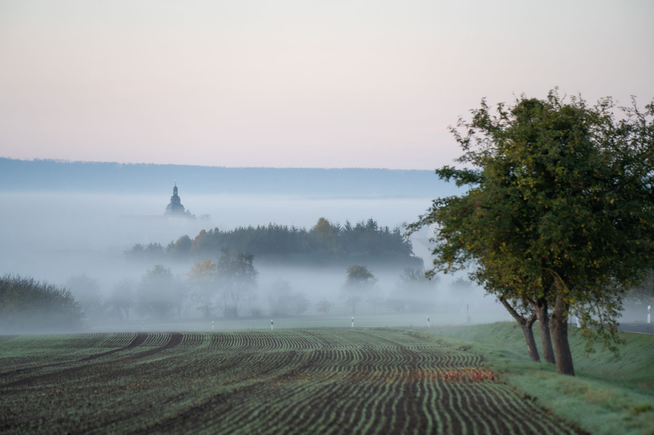 morning, mist, fog, environment, landscape, nature, plant, tree, land, sky, rural scene, scenics - nature, field, agriculture, horizon, dawn, beauty in nature, sunrise, cloud, no people, hill, tranquility, social issues, sunlight, rural area, outdoors, growth, water, travel, farm, sun, twilight, tranquil scene, crop, travel destinations