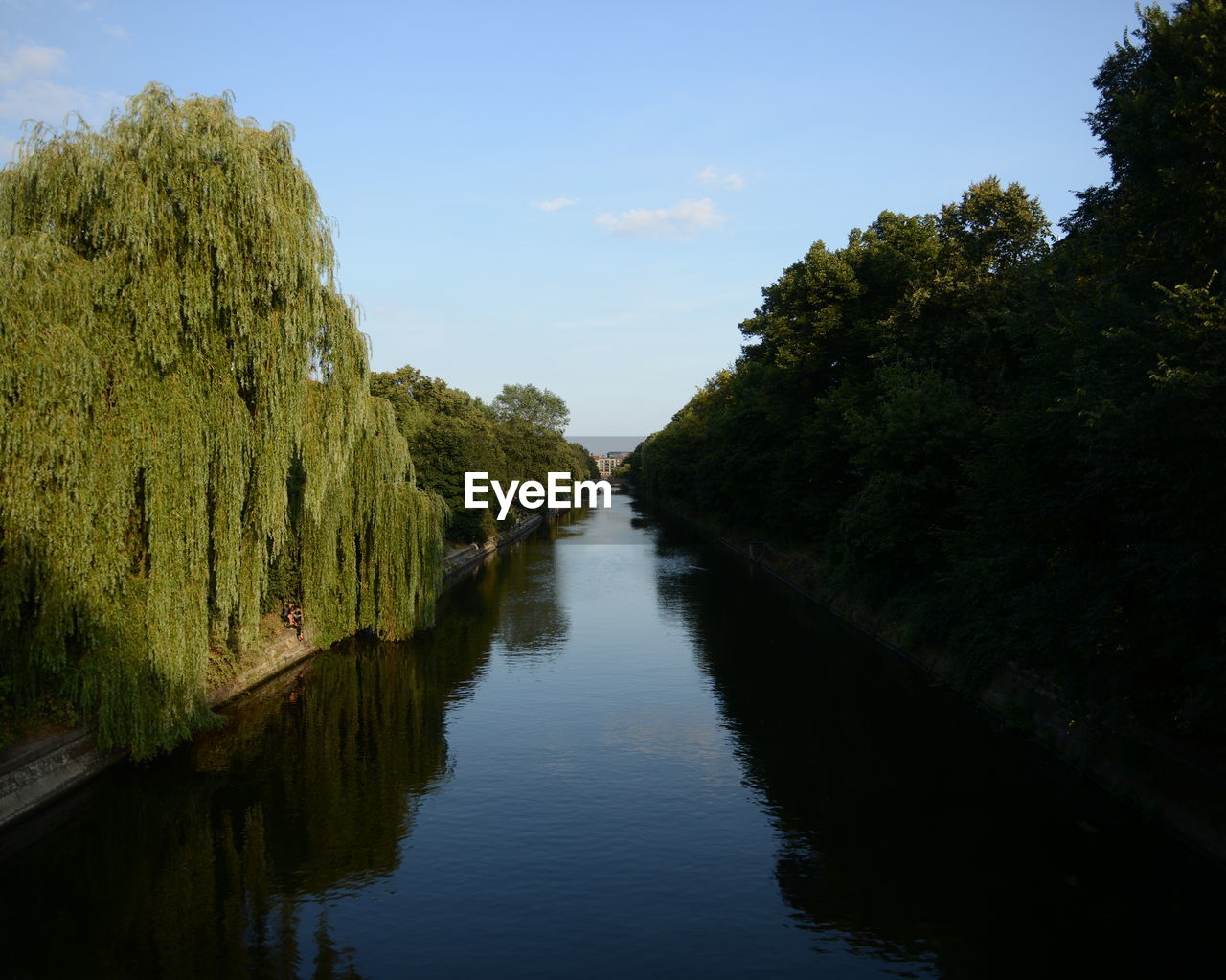 Willow tree over canal