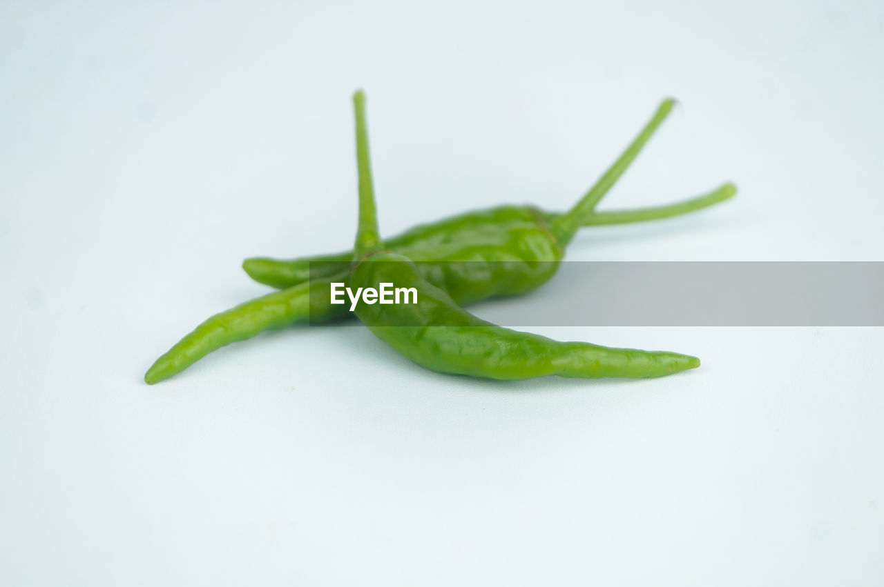 CLOSE-UP OF GREEN CHILI PEPPER