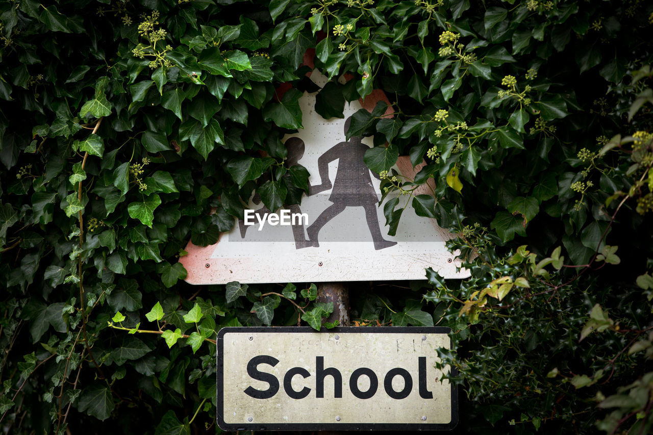 Close-up of sign amidst leaves