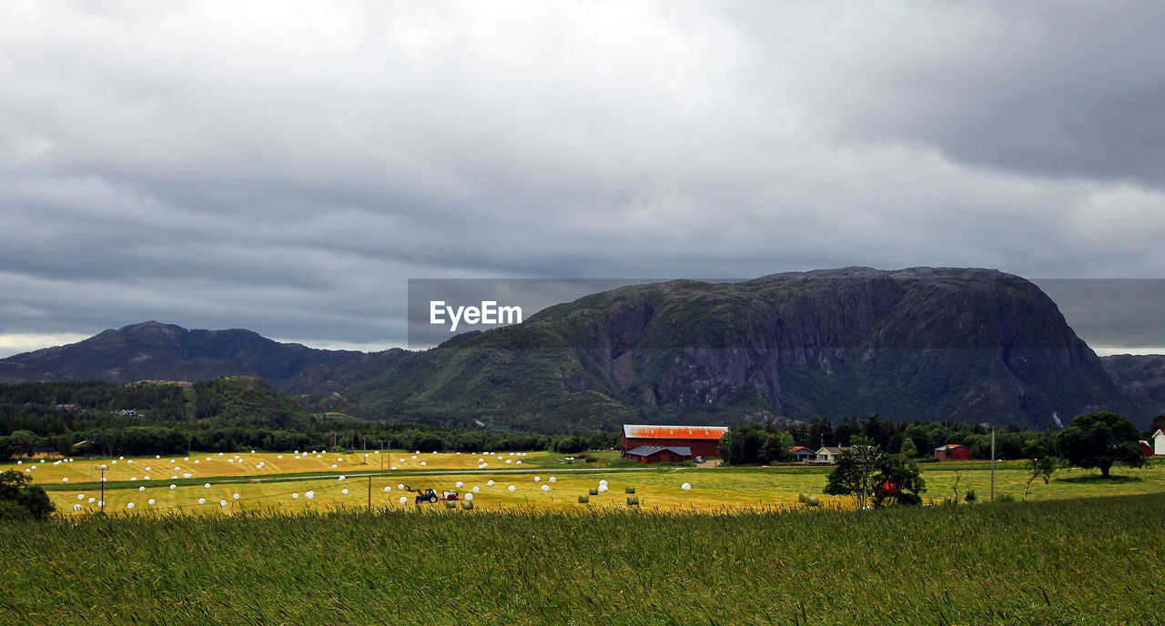 Scenic view of field and mountains against sky