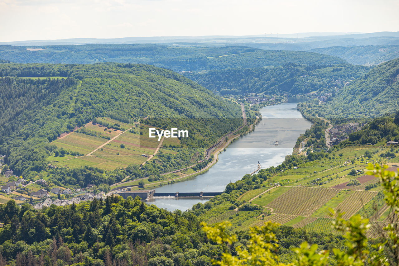 Beautiful, ripening vineyards in the spring season in western germany, the moselle river flowing.