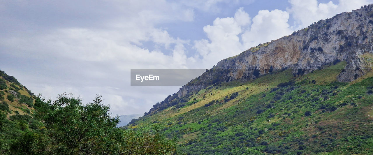 mountain, cloud, sky, environment, plant, scenics - nature, land, mountain range, nature, beauty in nature, tree, landscape, ridge, no people, wilderness, forest, travel destinations, travel, non-urban scene, valley, green, pinaceae, outdoors, pine tree, coniferous tree, rock, tourism, tranquility, pine woodland, day, tranquil scene, plateau, mountain pass, social issues, panoramic, idyllic