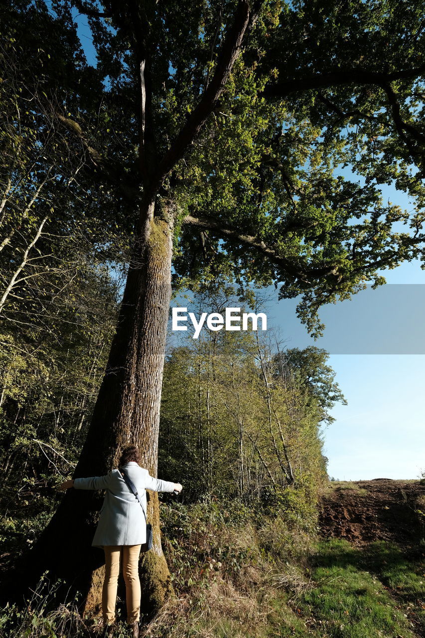 WOMAN STANDING BY TREE ON FIELD IN FOREST