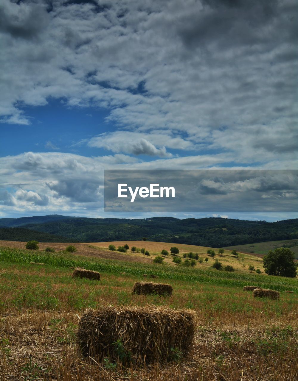 SCENIC VIEW OF LANDSCAPE AGAINST CLOUDY SKY