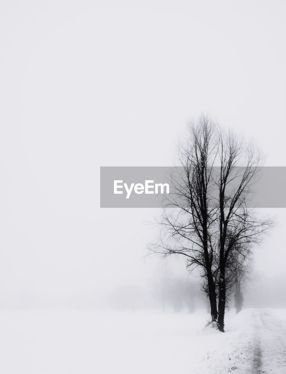 BARE TREE ON SNOW COVERED LANDSCAPE AGAINST SKY