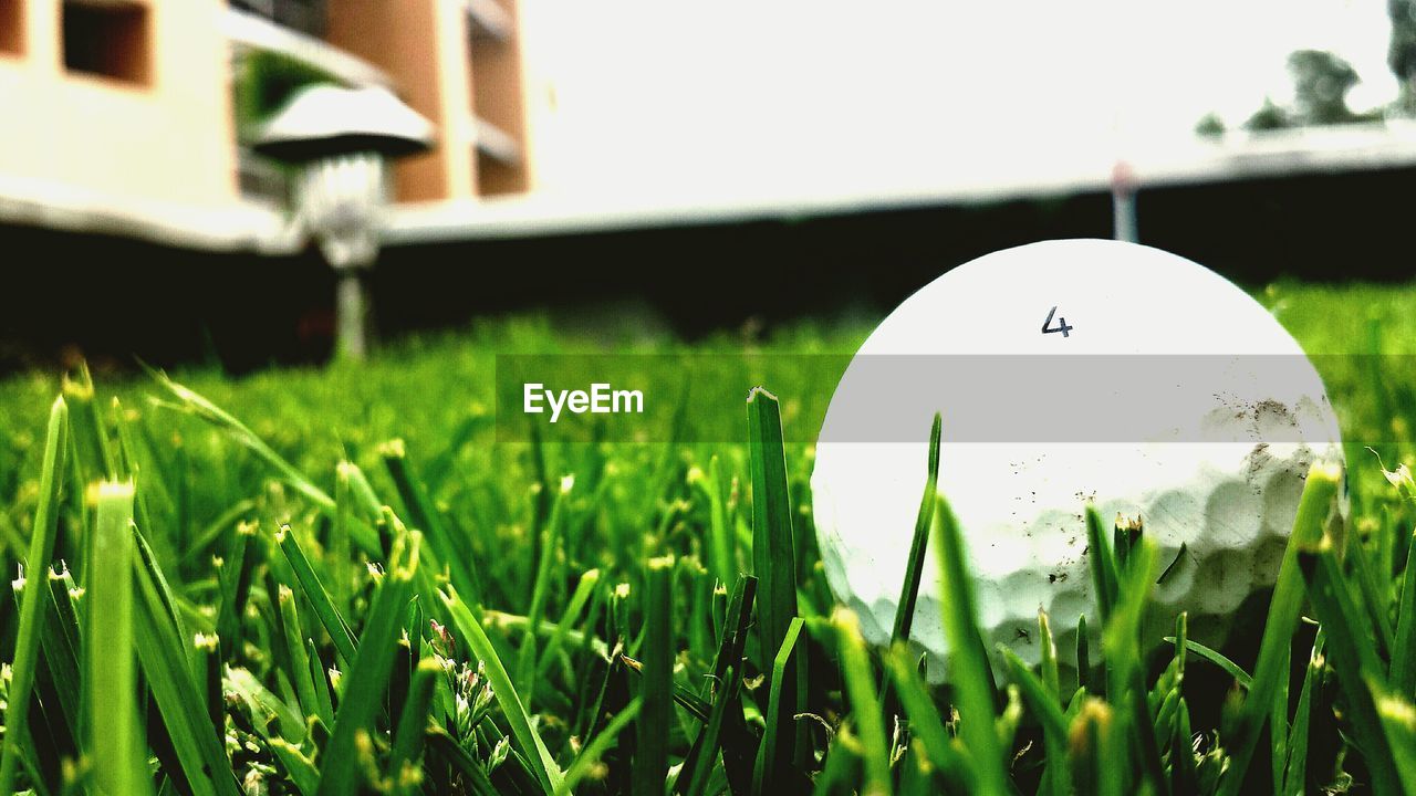 Close-up of golf ball on grass