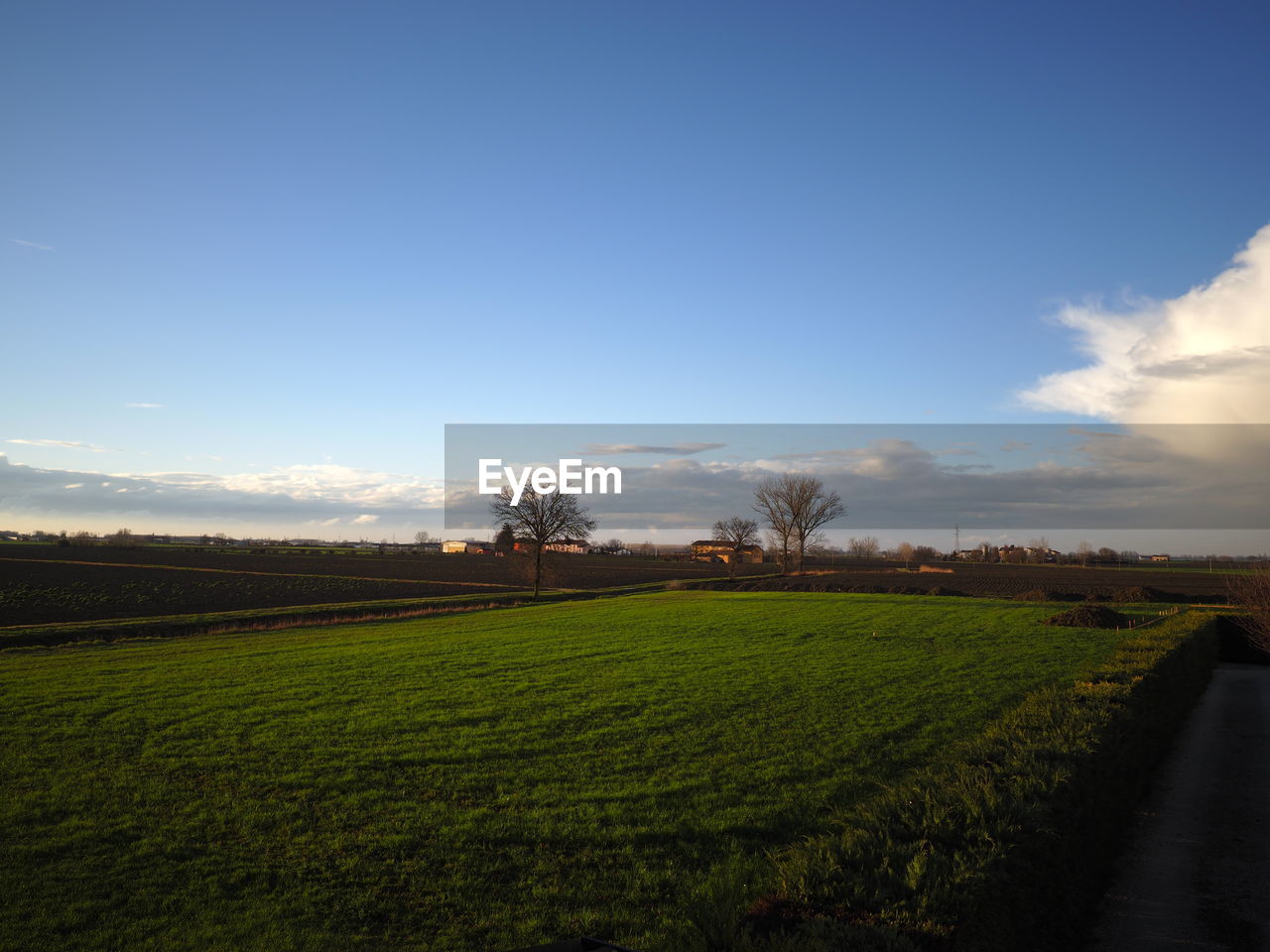 SCENIC VIEW OF AGRICULTURAL FIELD AGAINST SKY DURING SUNRISE