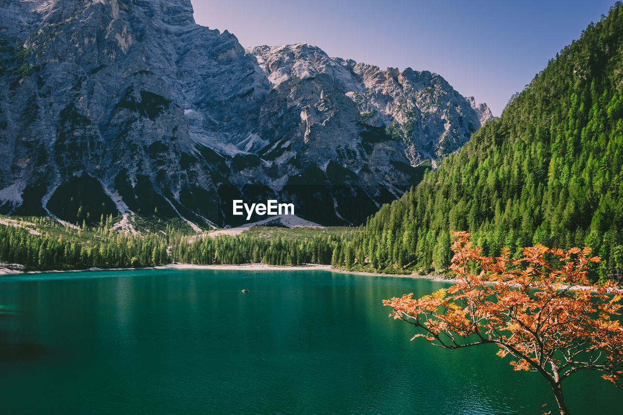 Scenic view of lake by trees against sky