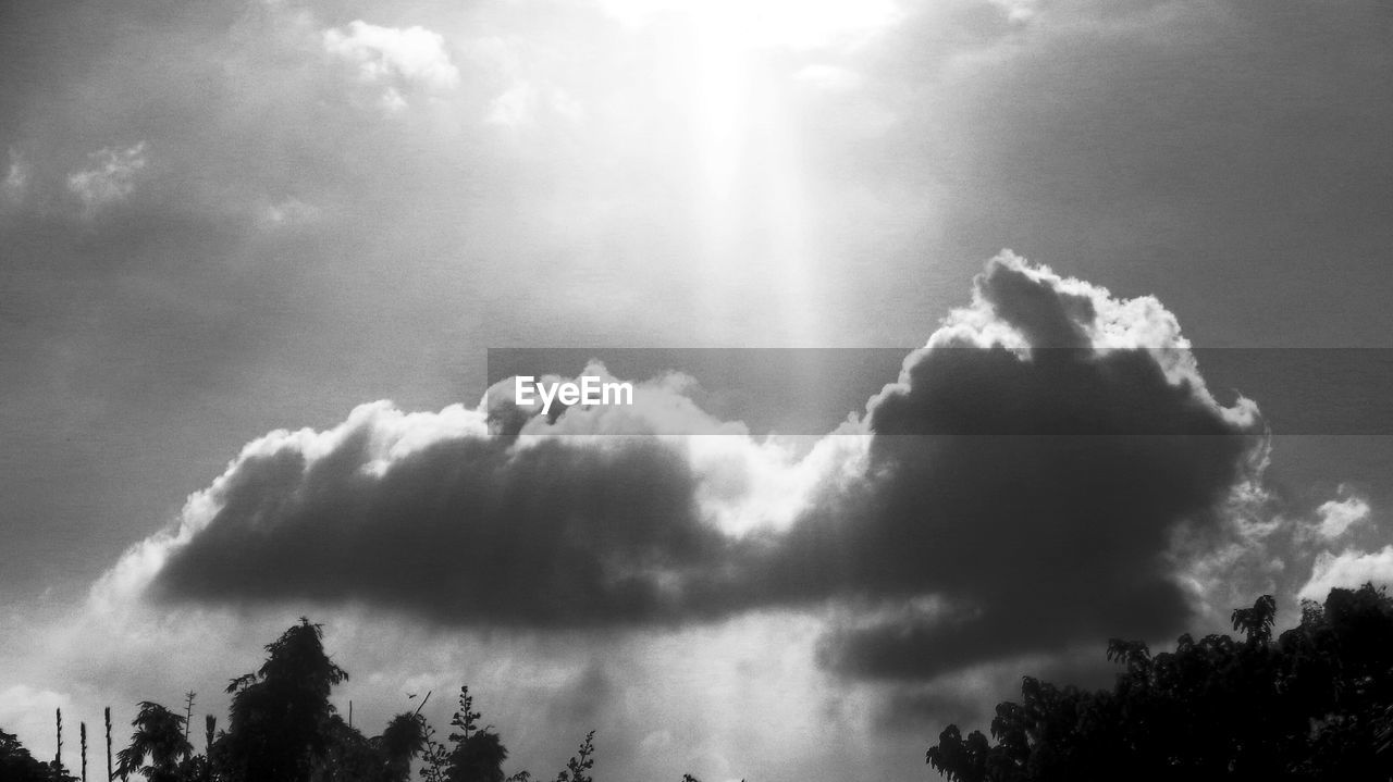 SILHOUETTE OF TREES AGAINST CLOUDY SKY