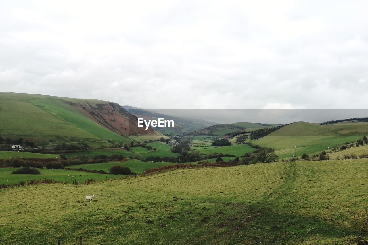 Scenic view of green landscape and mountains against sky