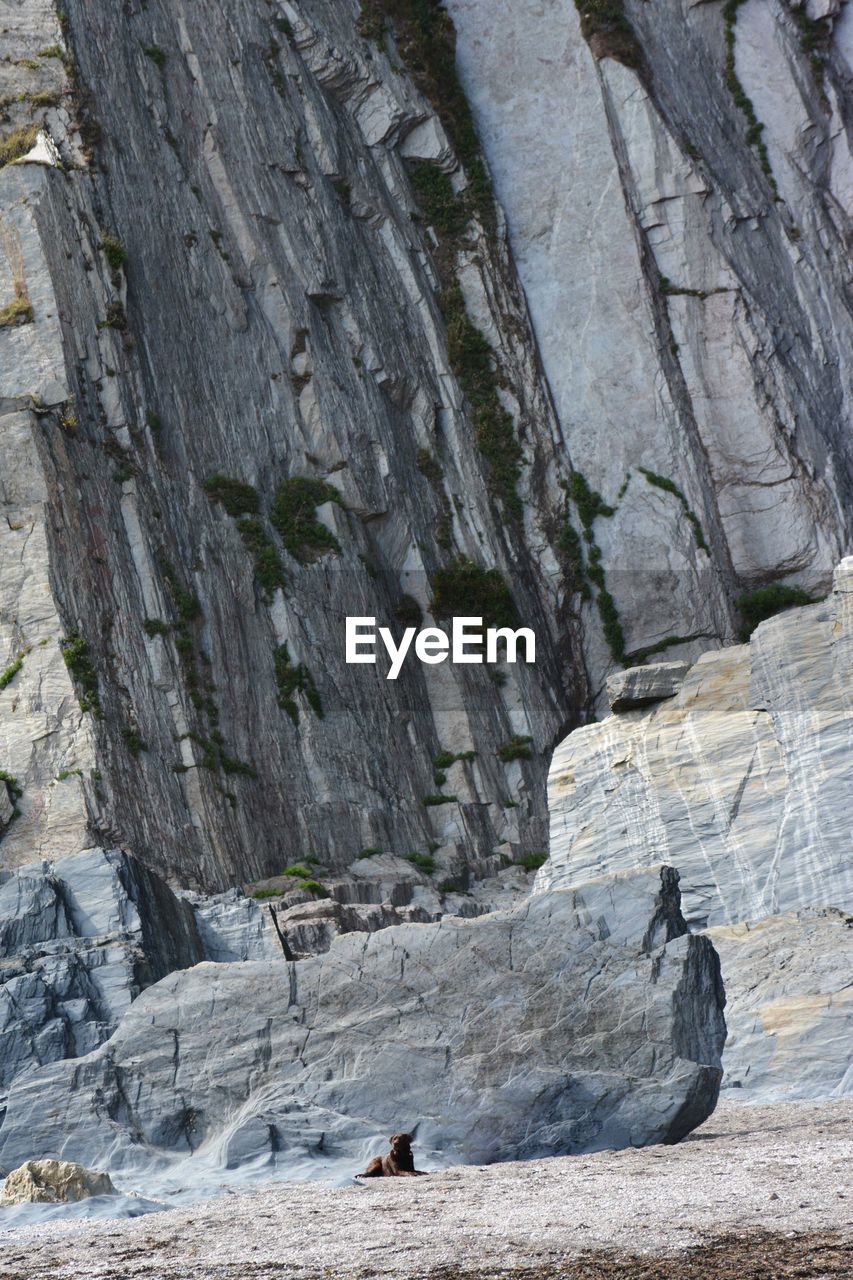 Low angle view of rock climbing