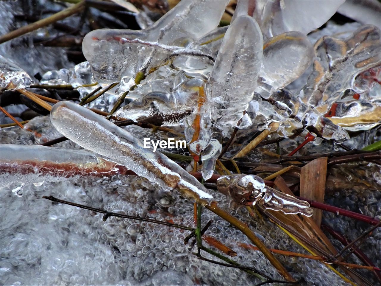 CLOSE-UP OF SNOW