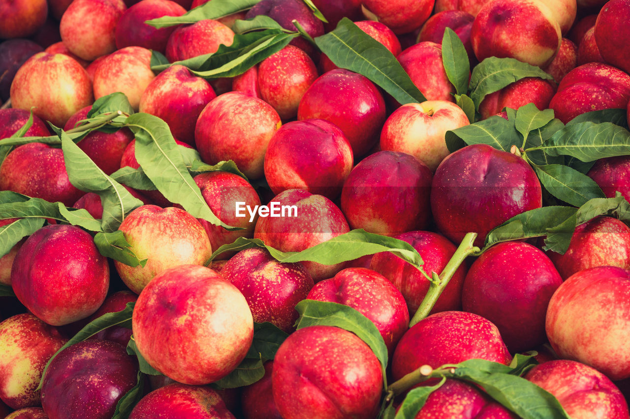 Detail shot of apples