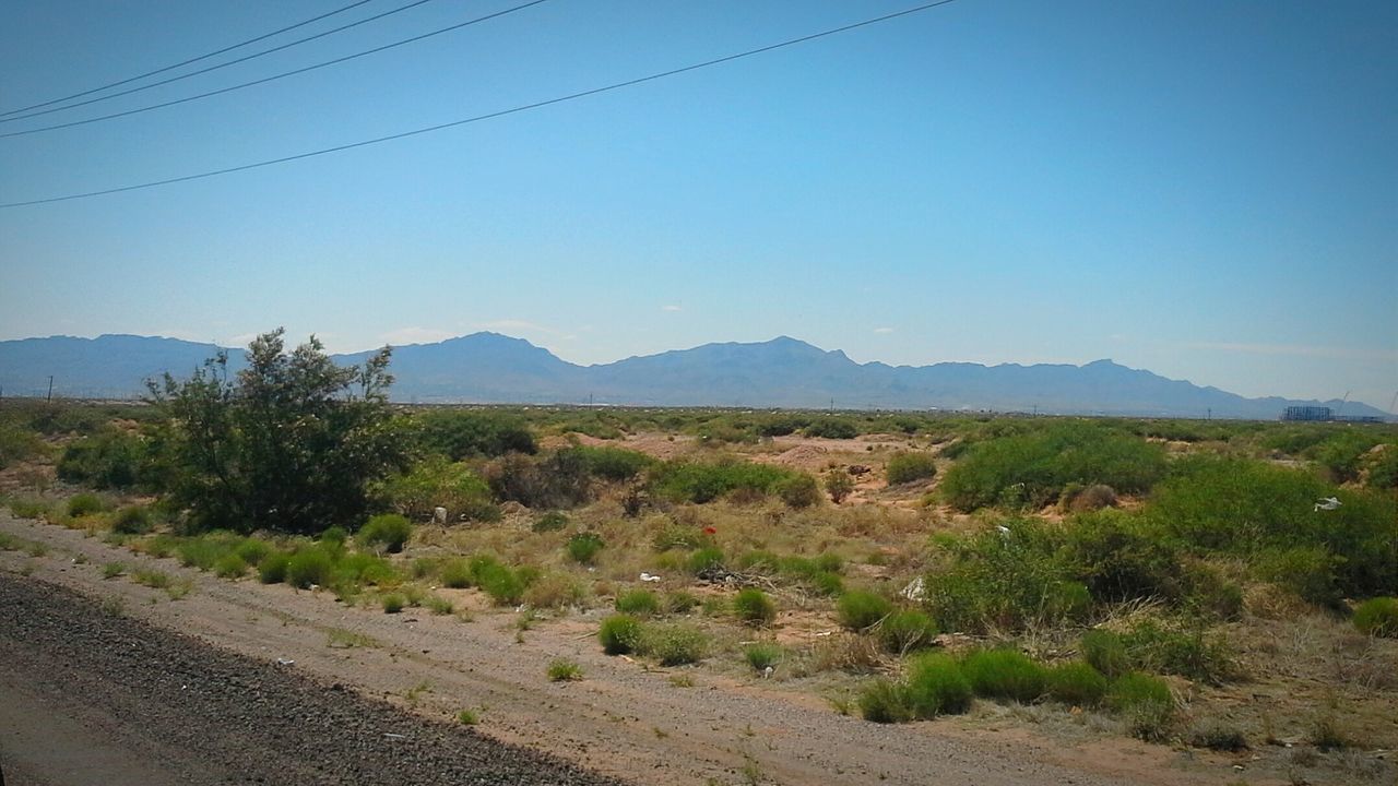 VIEW OF LANDSCAPE AGAINST CLEAR SKY