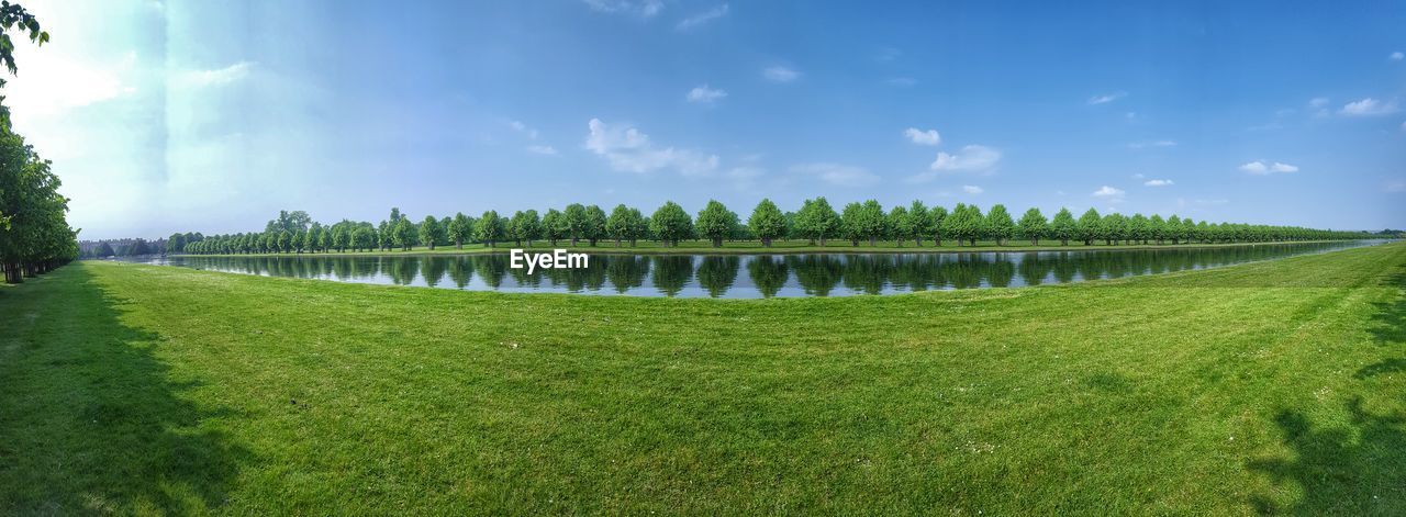 Panoramic shot of trees growing by lake against blue sky