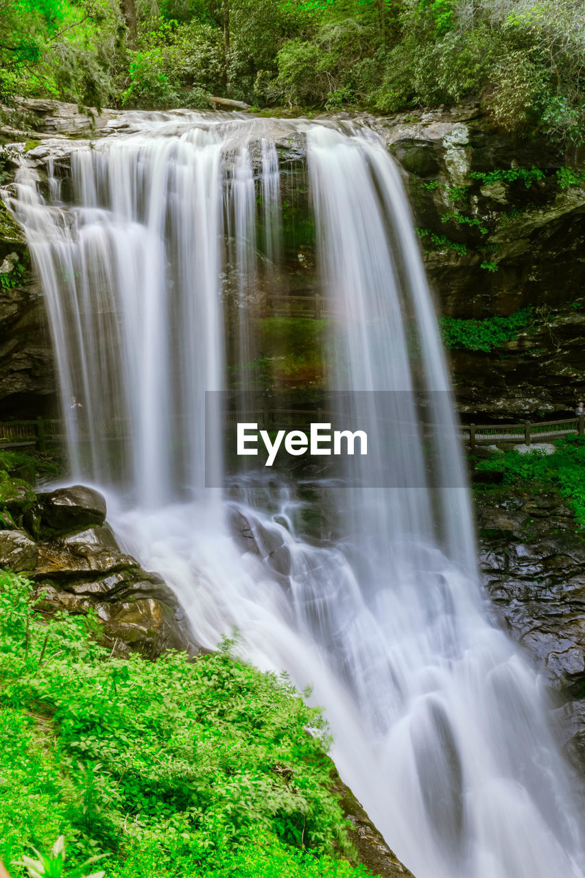 WATERFALL IN FOREST