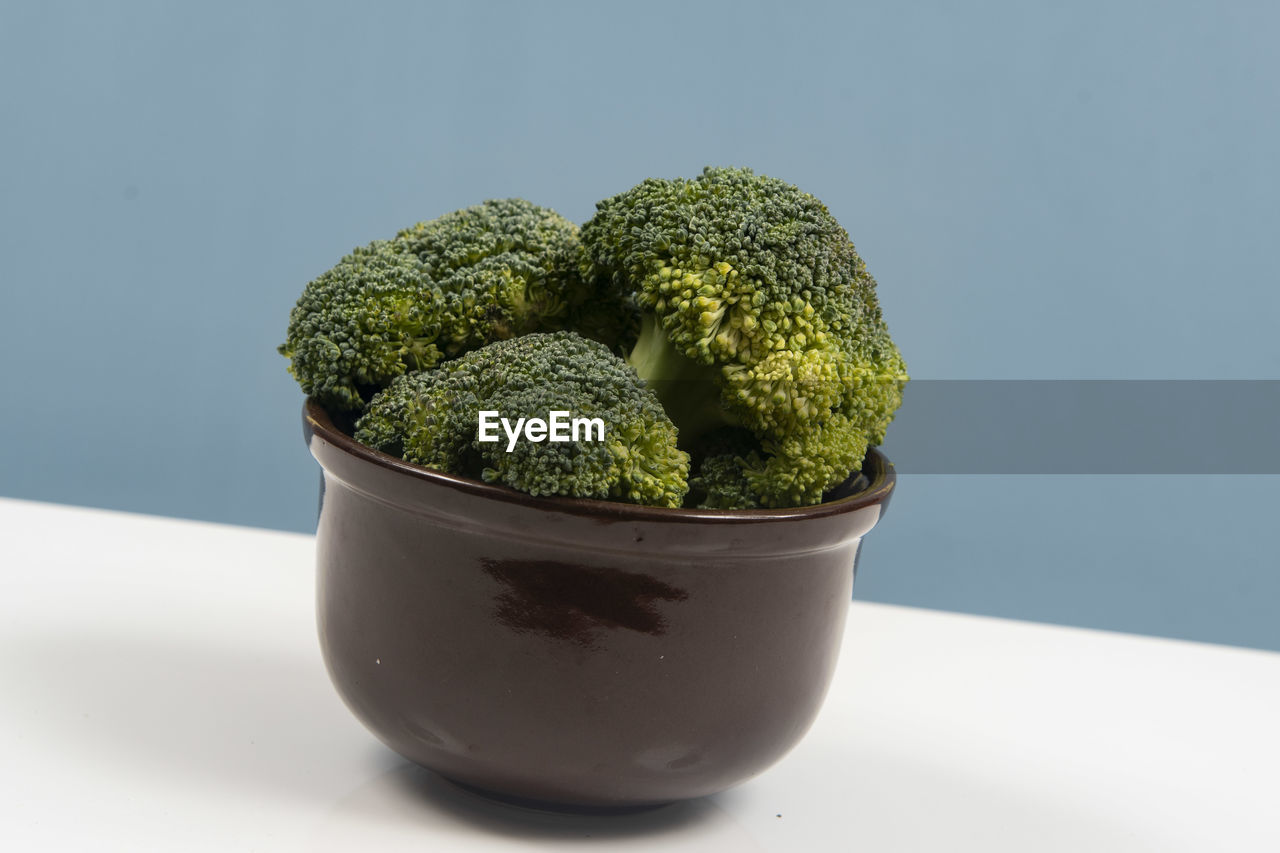 Fresh raw broccoli in pot isolated. front view