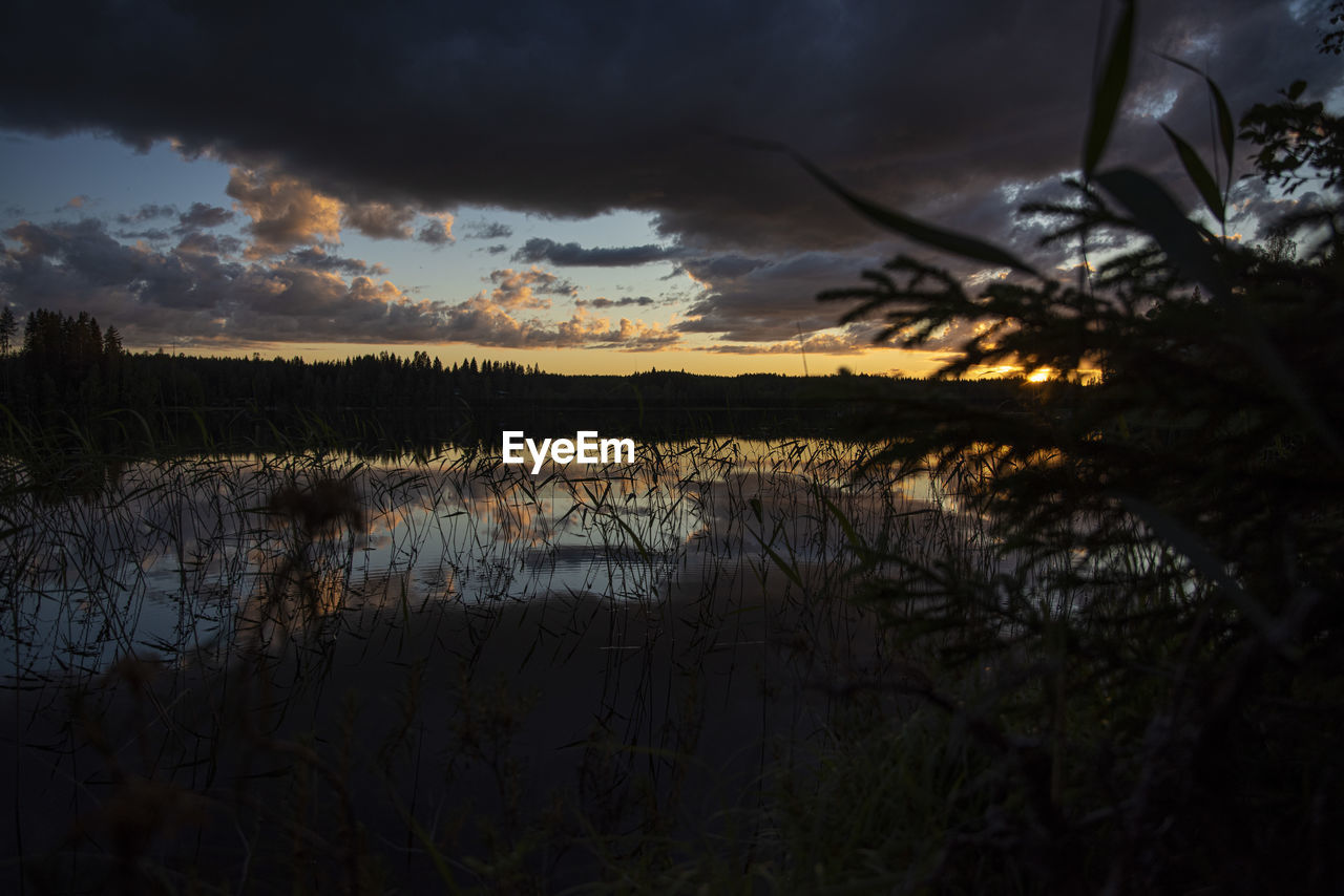 SILHOUETTE PLANTS BY LAKE AGAINST SKY AT SUNSET