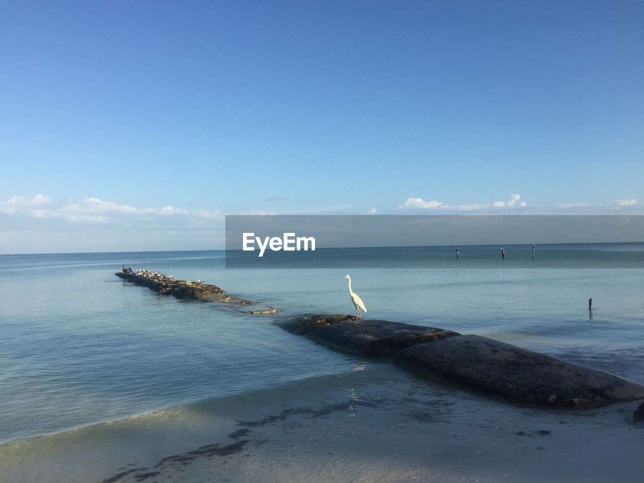 SCENIC VIEW OF BEACH AGAINST BLUE SKY