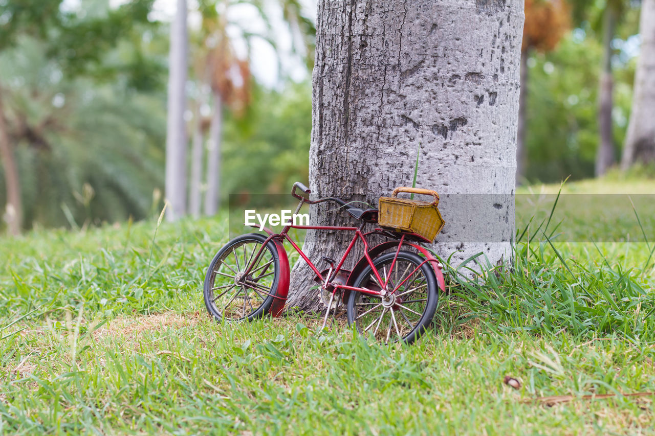 BICYCLE PARKED ON TREE TRUNK