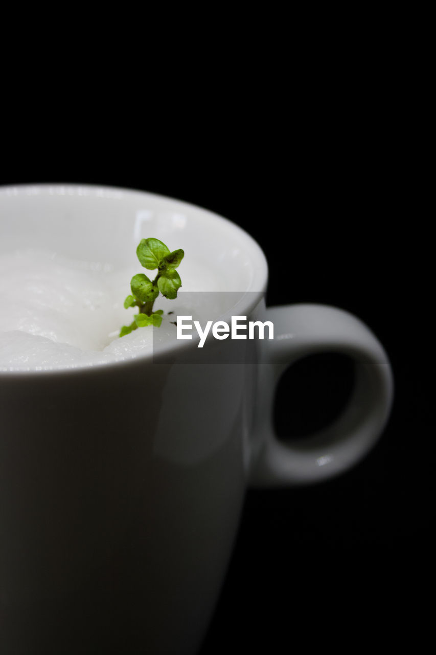 Close-up of coffee cup against black background with a mint plant in 