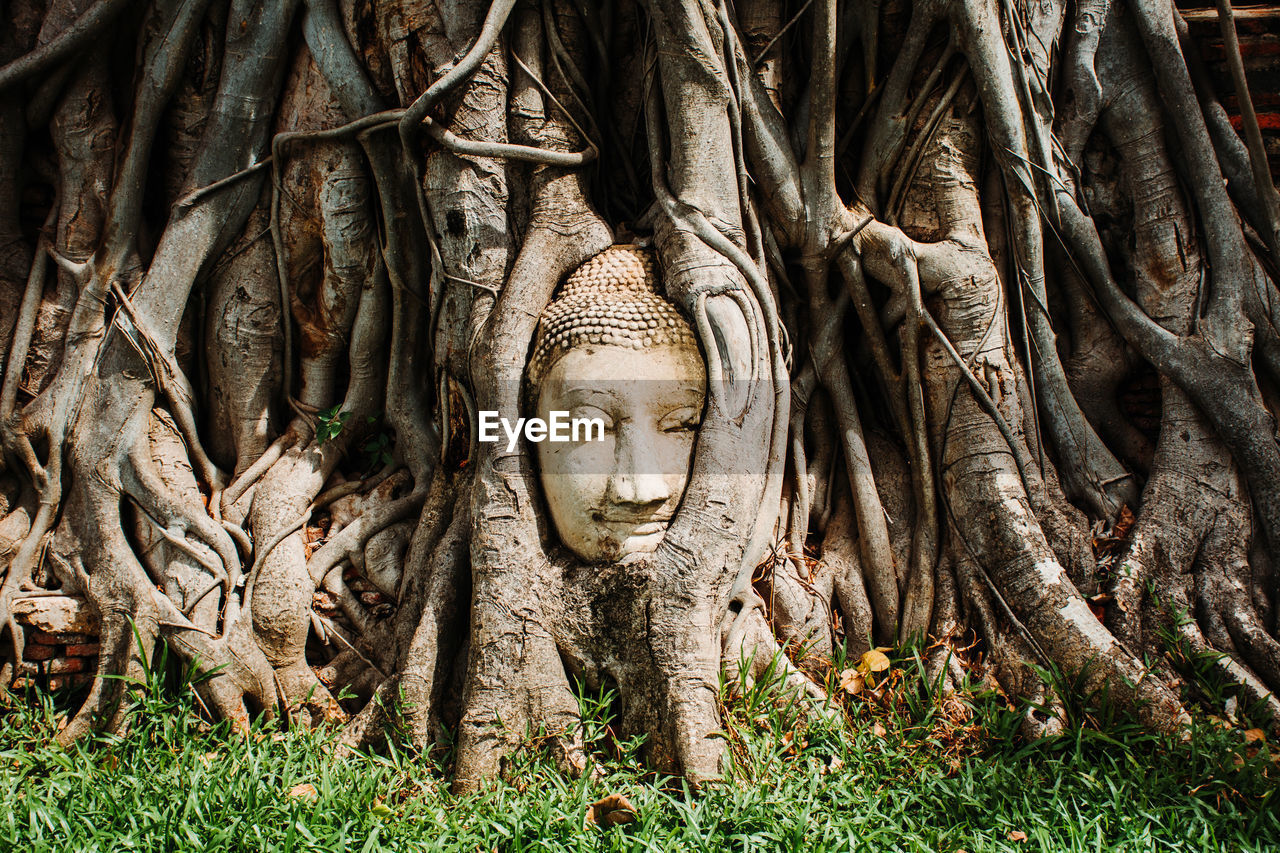 VIEW OF BUDDHA SCULPTURE