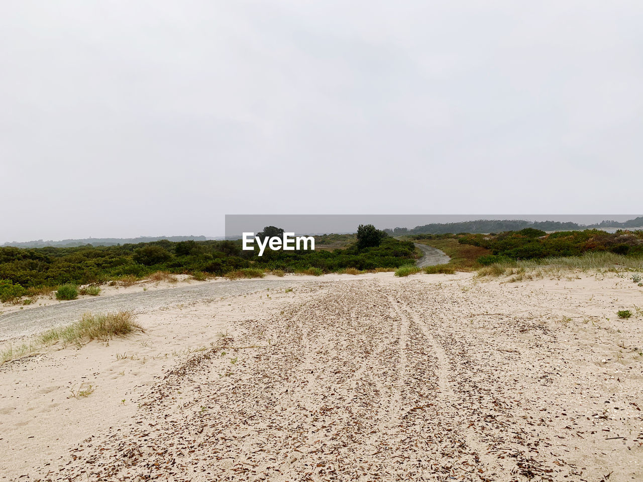 SURFACE LEVEL VIEW OF DIRT ROAD AGAINST SKY