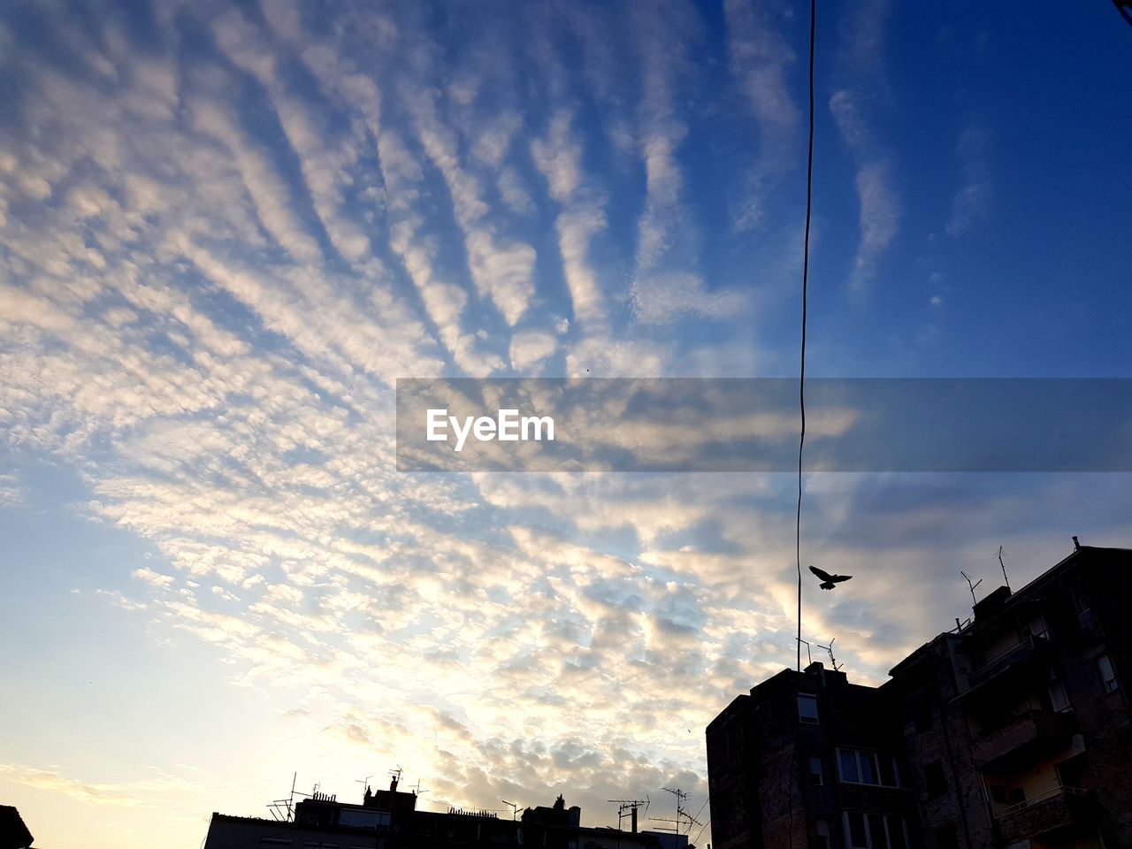 LOW ANGLE VIEW OF BUILDINGS AGAINST SKY