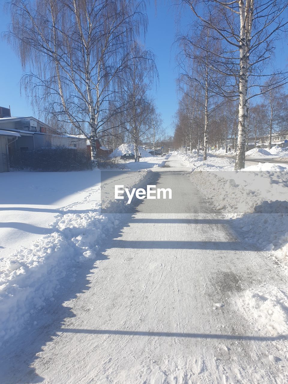 Snow covered road amidst trees during winter