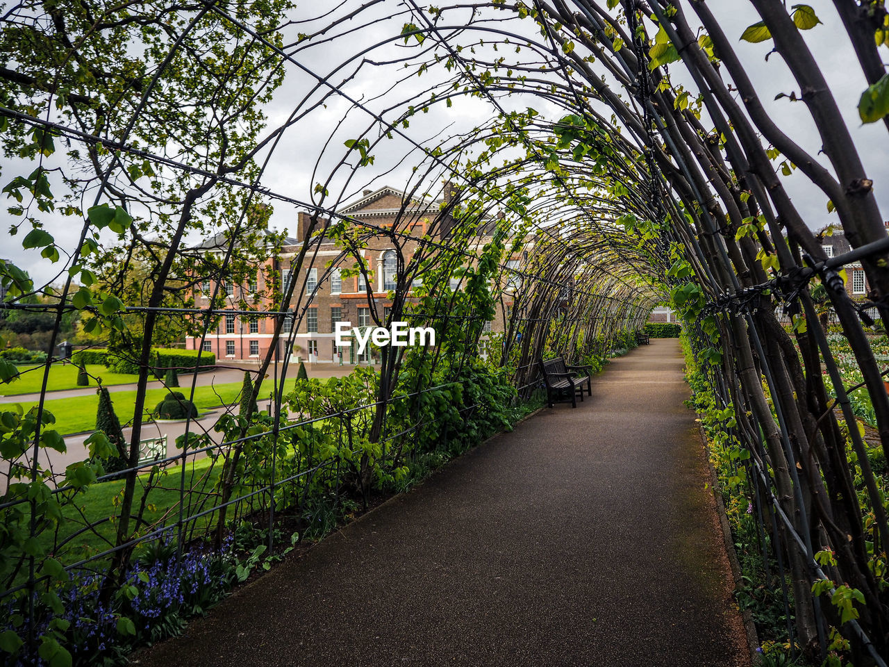 Walkway amidst plants in city