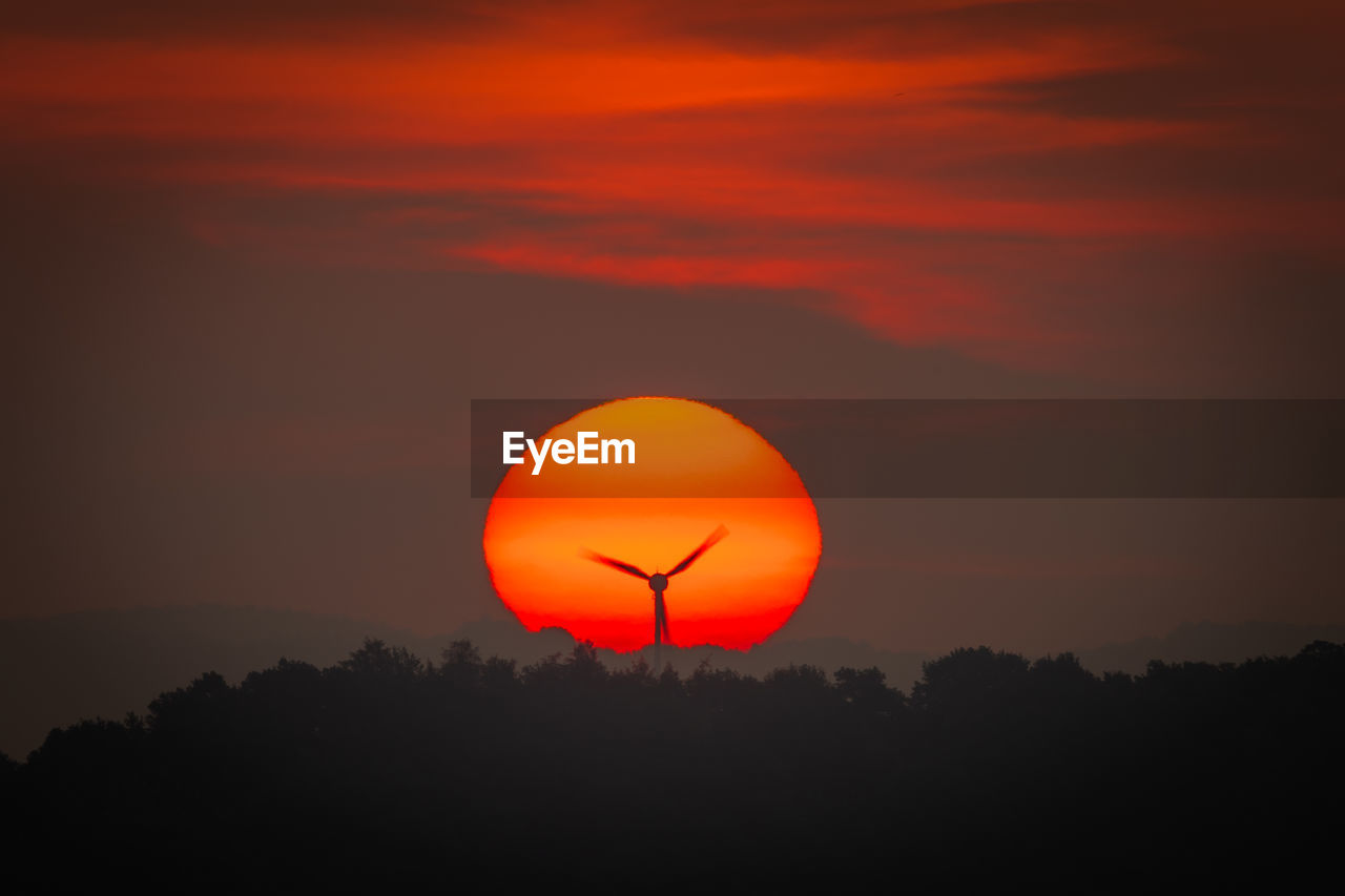 SILHOUETTE TREE AGAINST ORANGE SKY