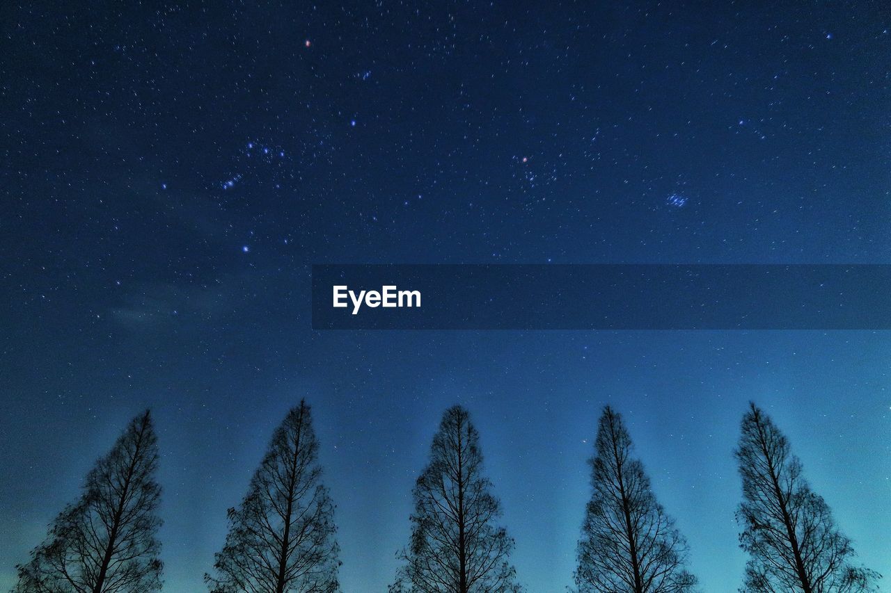 Low angle view of trees against sky