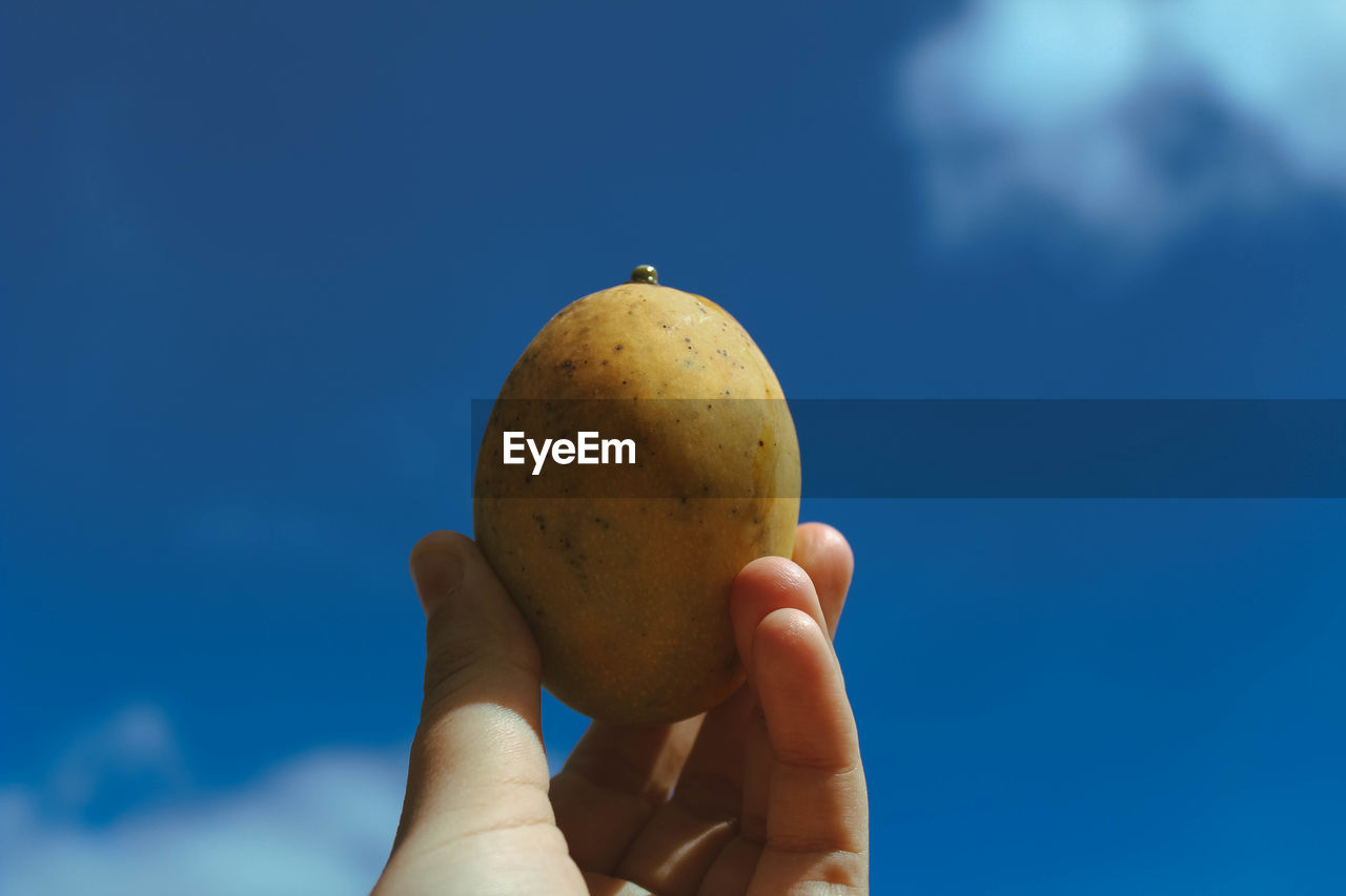 Close-up of hand holding mango against blue sky