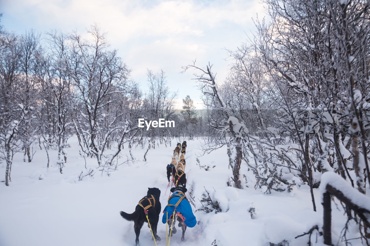 PEOPLE ON SNOW COVERED LAND